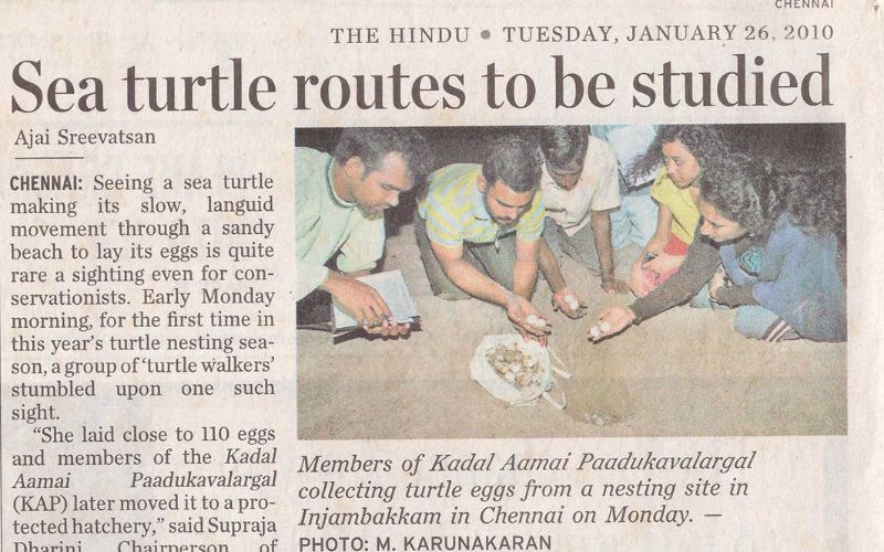 Hindu - Turtle Conservation