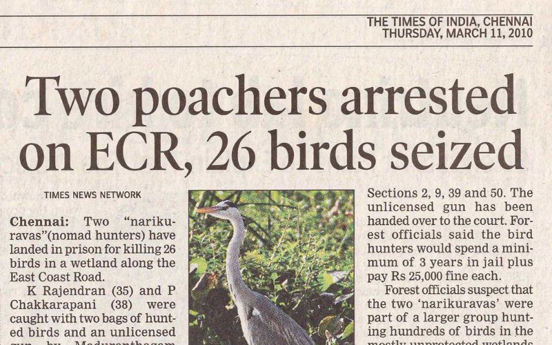 TOI - Poaching and Turtle