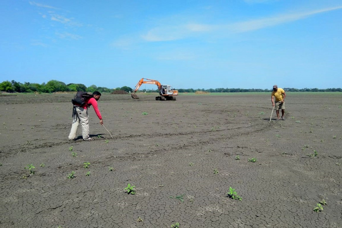 Wetland Conservation