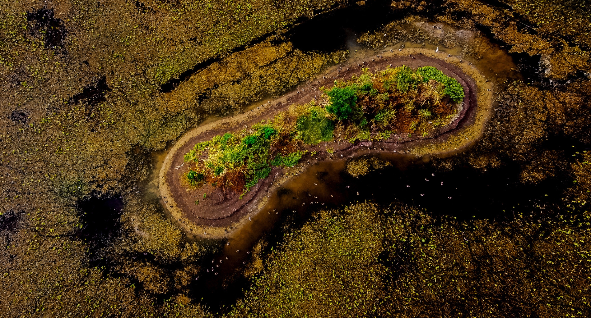 Wetland Conservation