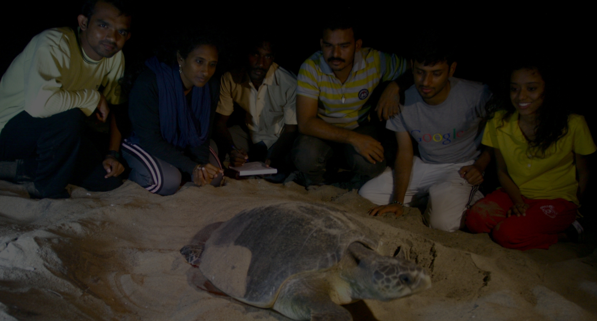 Sea Turtle Conservation
